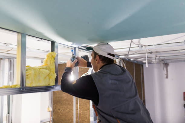 Best Types of Insulation in Kahoka, MO