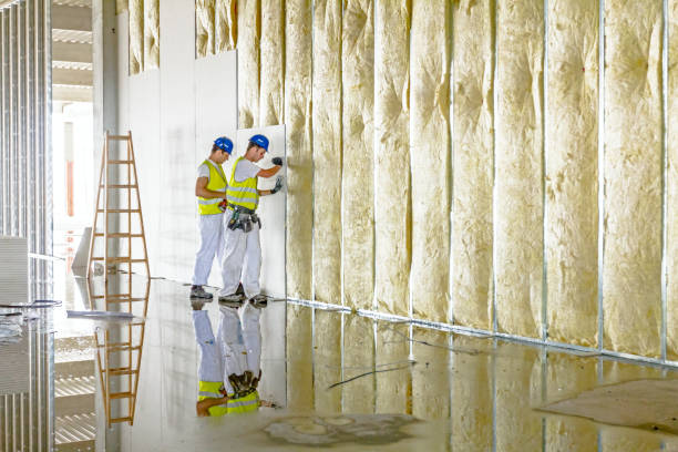 Best Specialty Insulation in Kahoka, MO